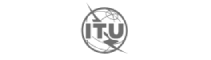 International Telecommunication Union